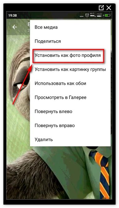 Как в ватсапе сделать фотографию. Как установить? Фото. Профиль на ватсап. Как установить аватарку в ватсапе. Как установить профиль на ватсап.