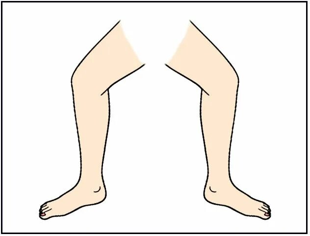 Leg rule