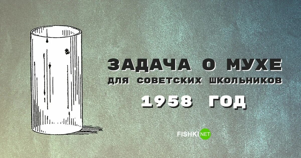 Муха стакан. Задача о любопытной мухе. Стакан и Муха загадка. Муха в стакане. Перельман задача про мух.