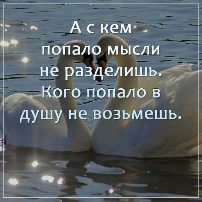 Уж лучше одному чем вместе с кем. С кем попало мысли не разделишь кого. А С кем попало мысли не разделишь кого попало в душу не возьмёшь. С кем попало не. А С кем попало мысли не.