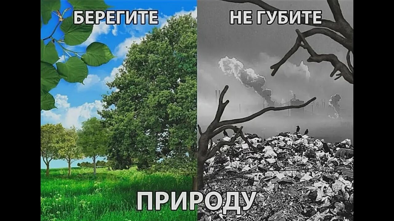Те кто любит природу знают как изменчив. Берегите природу. berigiti prerodu. берегите не губите природу. не губите природу.
