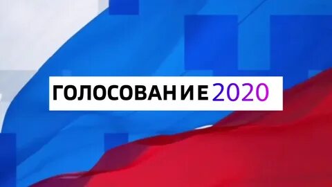 Голосование 2020 вопросы