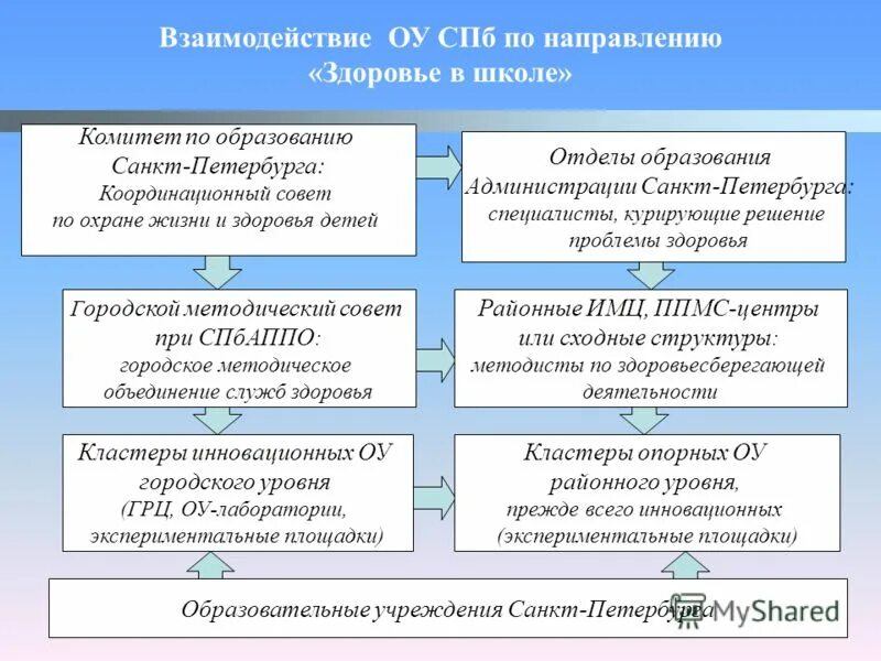 муниципальный округ васильевский (мо № 8). проблемы образования санкт петербурга. спбггу. учреждения среднего профессионального образования в спб. логотип аппо спб.