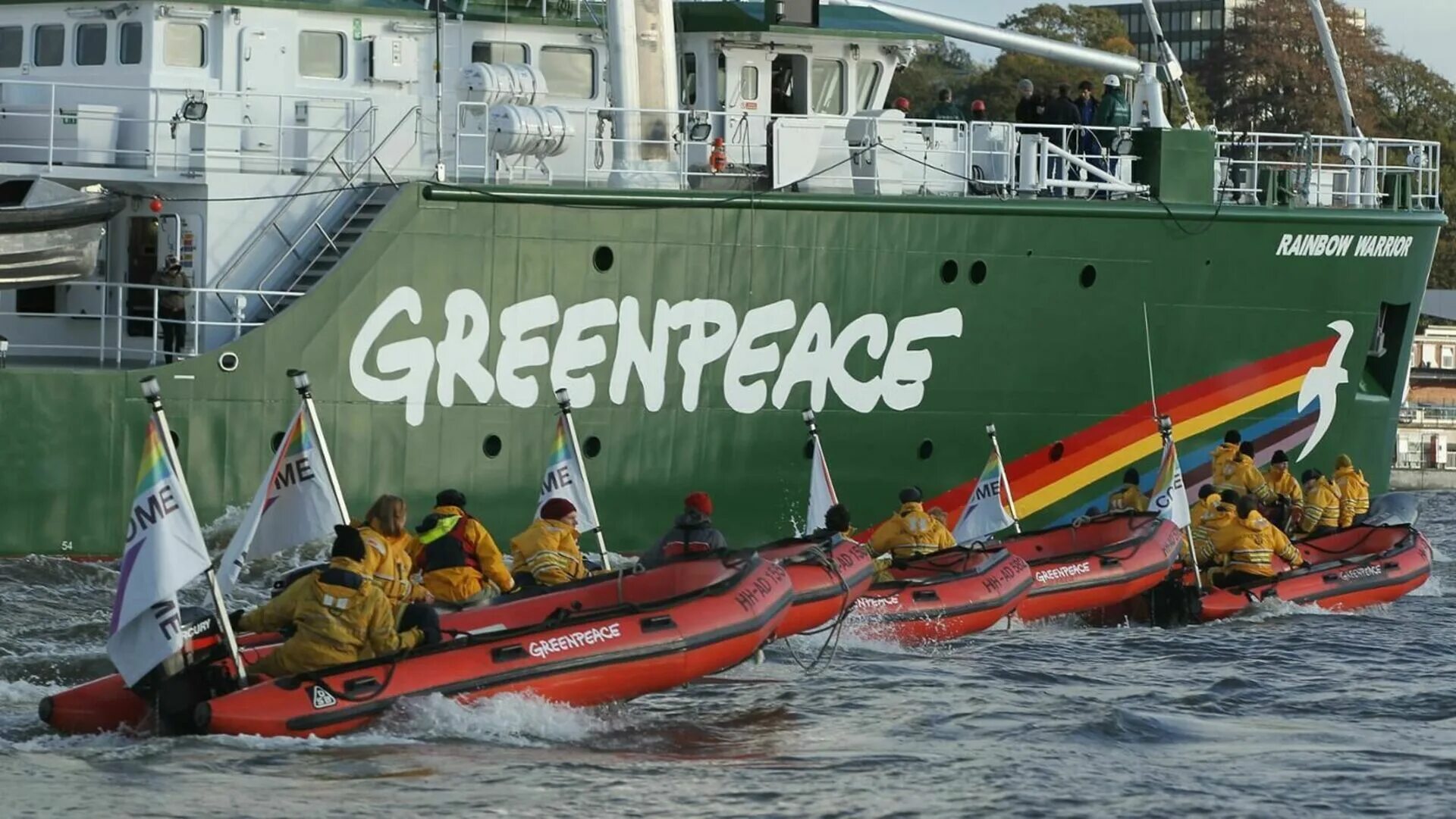 Организация Гринпис. Гринпис фото. Гринпис в России. Фонд Гринпис. 3 greenpeace