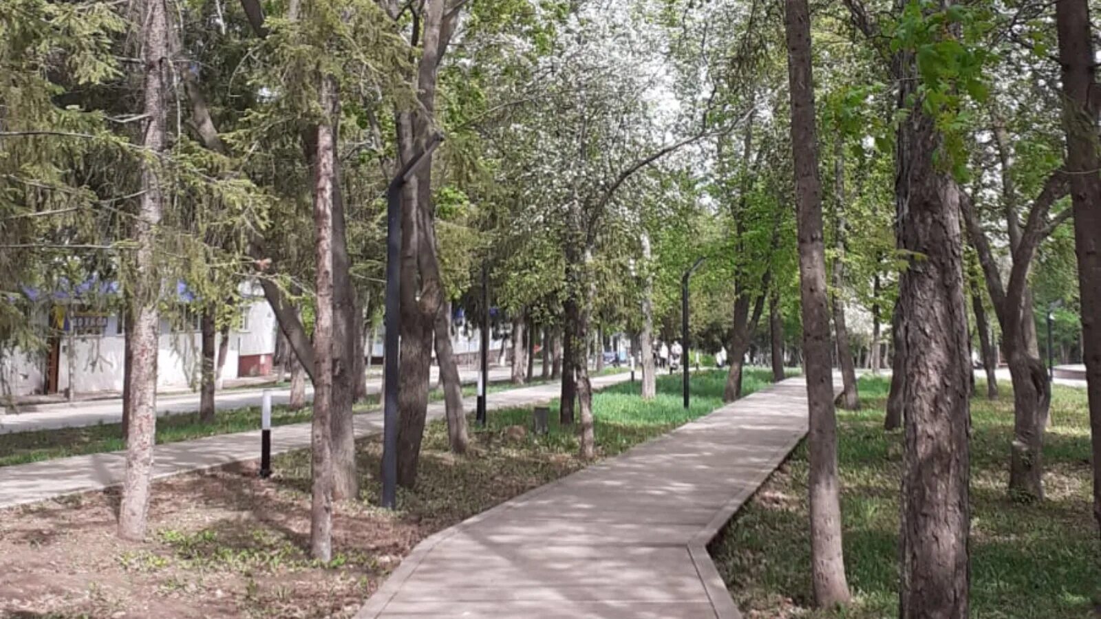 Прогноз лета в татарстане. Прогноз лета в татарстане