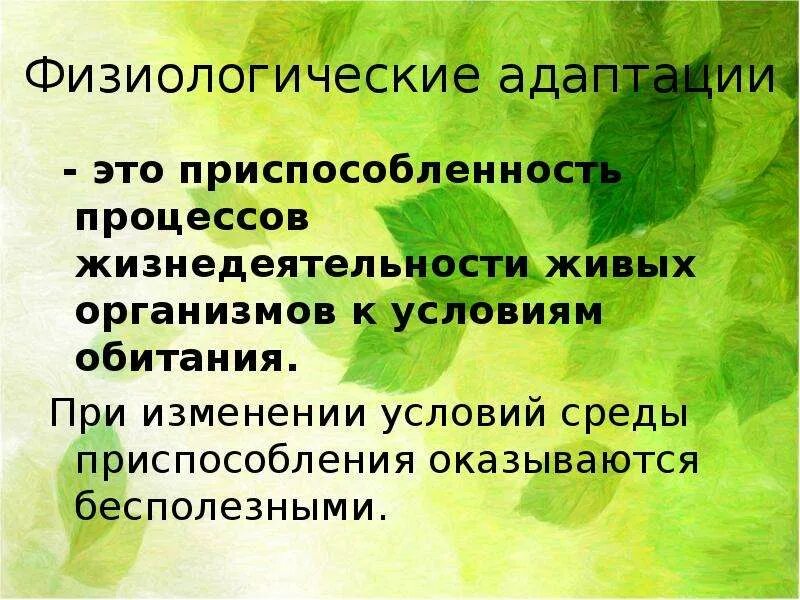 Приспособленность организмов презентация 9 класс. Физиологические адаптации. Физиологические приспособления. Физиологическая адаптация это в биологии. Физиологические адаптации презентация.