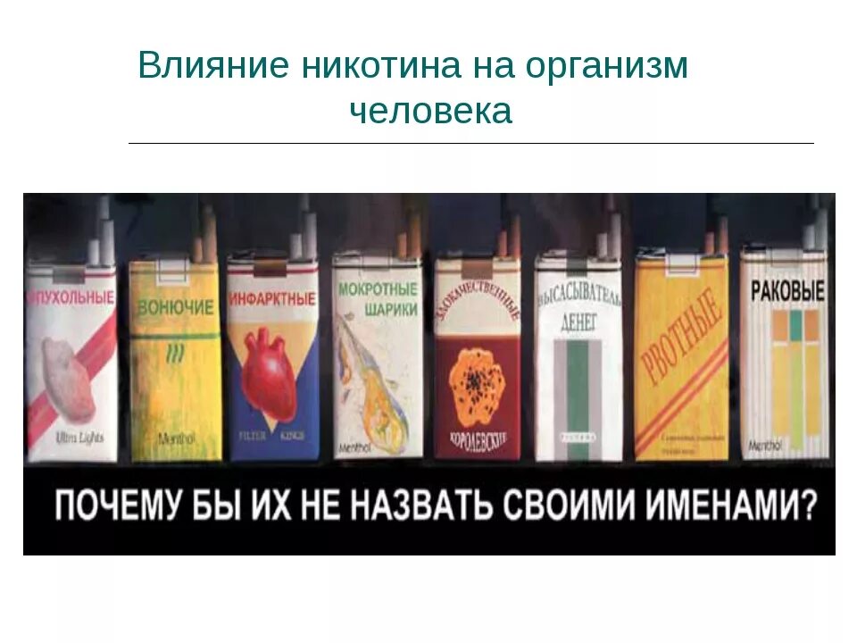 Влияние никотина на организм. Воздействие никотина на организм. Влияние никотина на органы. Действие никотина на ор.