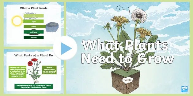 Growing science. What do Plants need. Дневник 1-11кл what your Plant. What a Plant knows. What to do to grow a member.