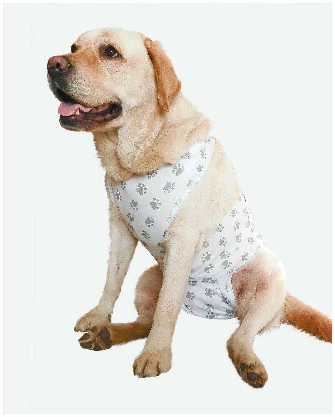 Попона стёпка для собак № 1 38-47 см. Послеоперационная попона osso. Попона для собак после операции. Попона послеоперационная №5 для собак ас-маркет. Попона послеоперационная для собак zooтекстиль №2.