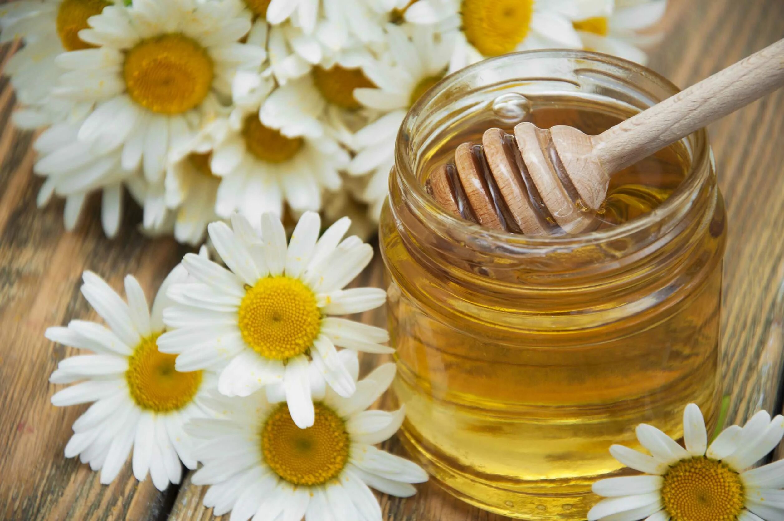 Honey фото. Мёд цветочный. Мед и цветы. Мед и Ромашка. Цветочки с медом.