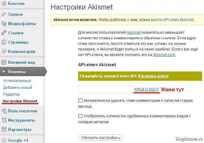 Получение api ключа. Как получить ключ api. как получить ключи. спам плагины настройки.