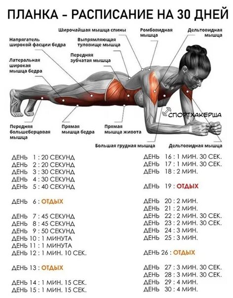 Что полезного в упражнении планка. Планка польза. Польза планки. Планка упражнение польза.