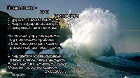 Гонимый значение