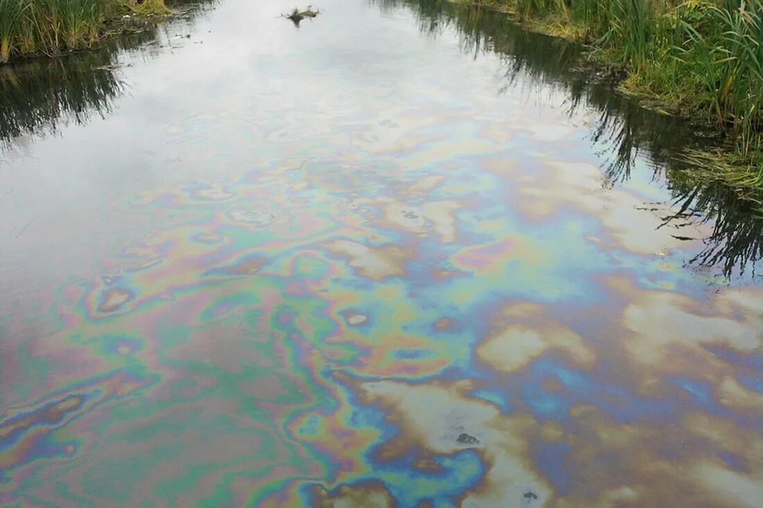 Горючая река. Загрязненная река Обь нефть. Загрязнение рек в Туле. Река Тула Новосибирск. Грязные реки Новосибирск.