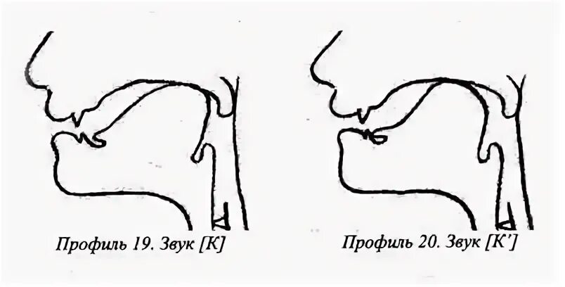 Артикуляция г. Профили артикуляции заднеязычных звуков. Артикуляционный профиль кь. Артикуляционный профиль звука с. Артикуляция звука с.