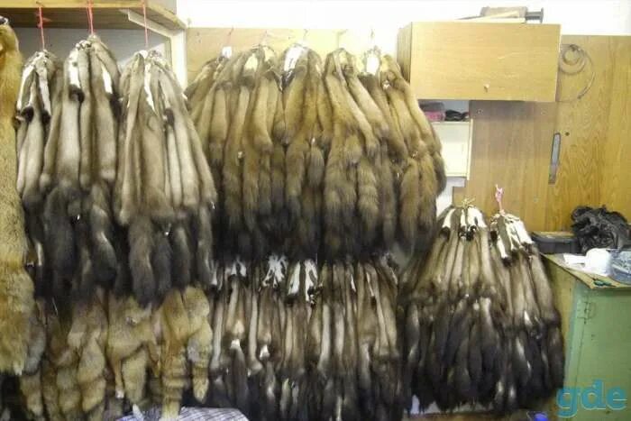 Скупка пушнины. Шкура куницы. Покрывало из меха соболя. Выделанные шкурки енотовидной собаки. Скупка пушнины.