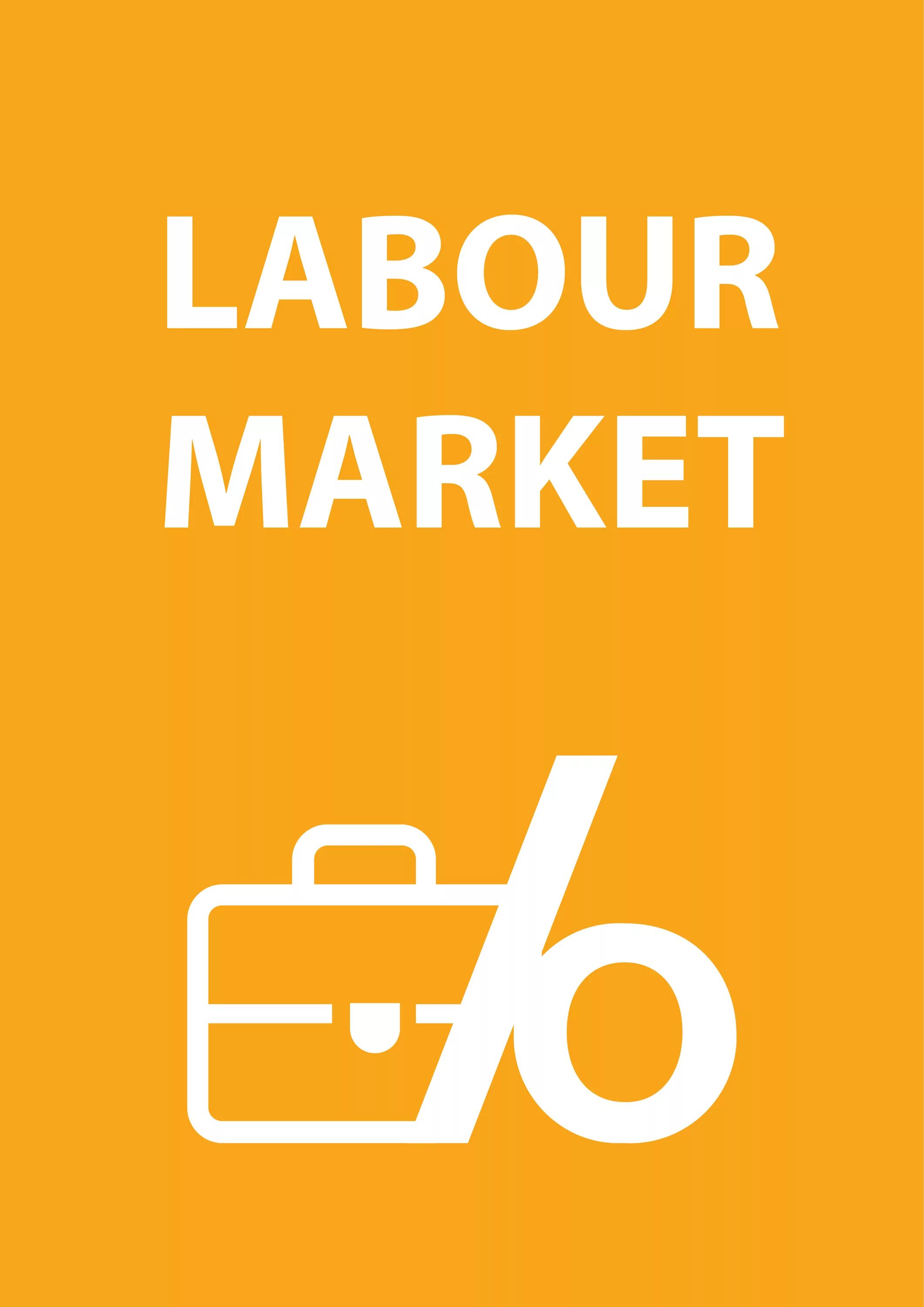 Labor market. International labor market. Labor market. Types of labor market. Labor market information system element.