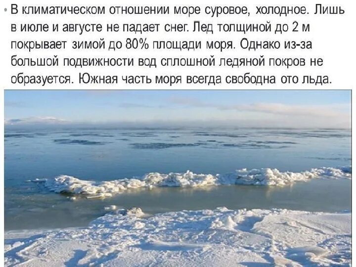 Какой бассейн берингова моря. Берингово море презентация. Берингово море описание. Берингово море климат. Берингово море сообщение.