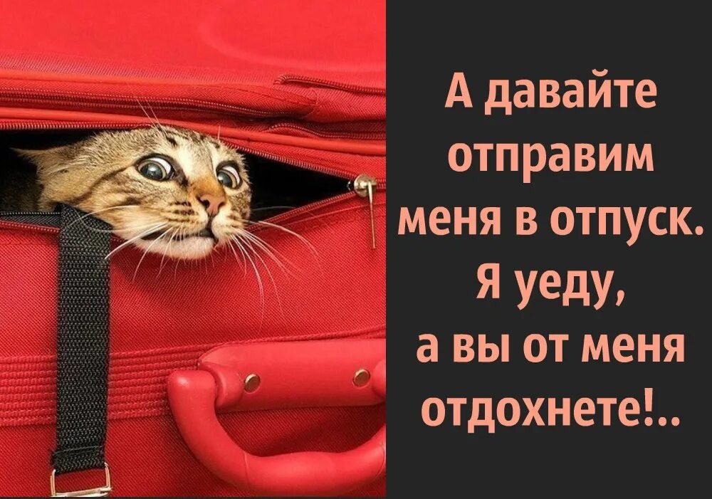 Время немного отдохнуть. Скоро в отпуск. Жду отпуск. Я В отпуске картинки. Хочу в отпуск.