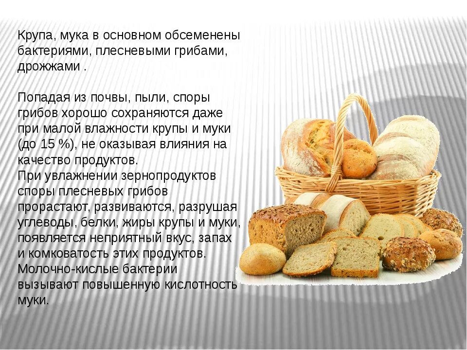 Условия хранения хлебобулочных. Условия хранения хлебобулочных