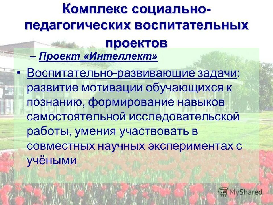 Социальный опыт примеры. Социальный опыт. Социальный опыт ребенка. Условия для самоопределения и социализации обучающихся. Социальное воспитание.
