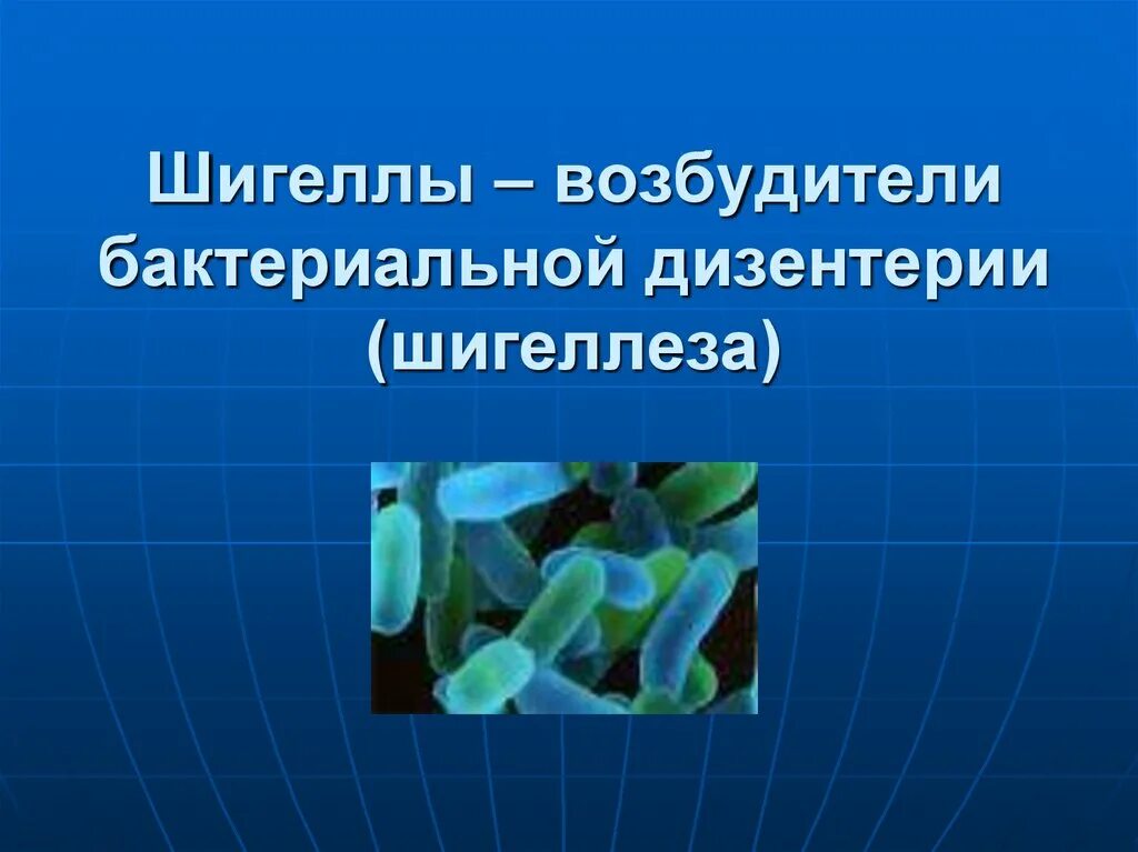 Дизентерия вирусное заболевание. Бактерия шигелла дизентерии. Шигелла дизентерия микробиология. Дизентерия Григорьева Шига возбудитель. Возбудители бактериальной дизентерии.