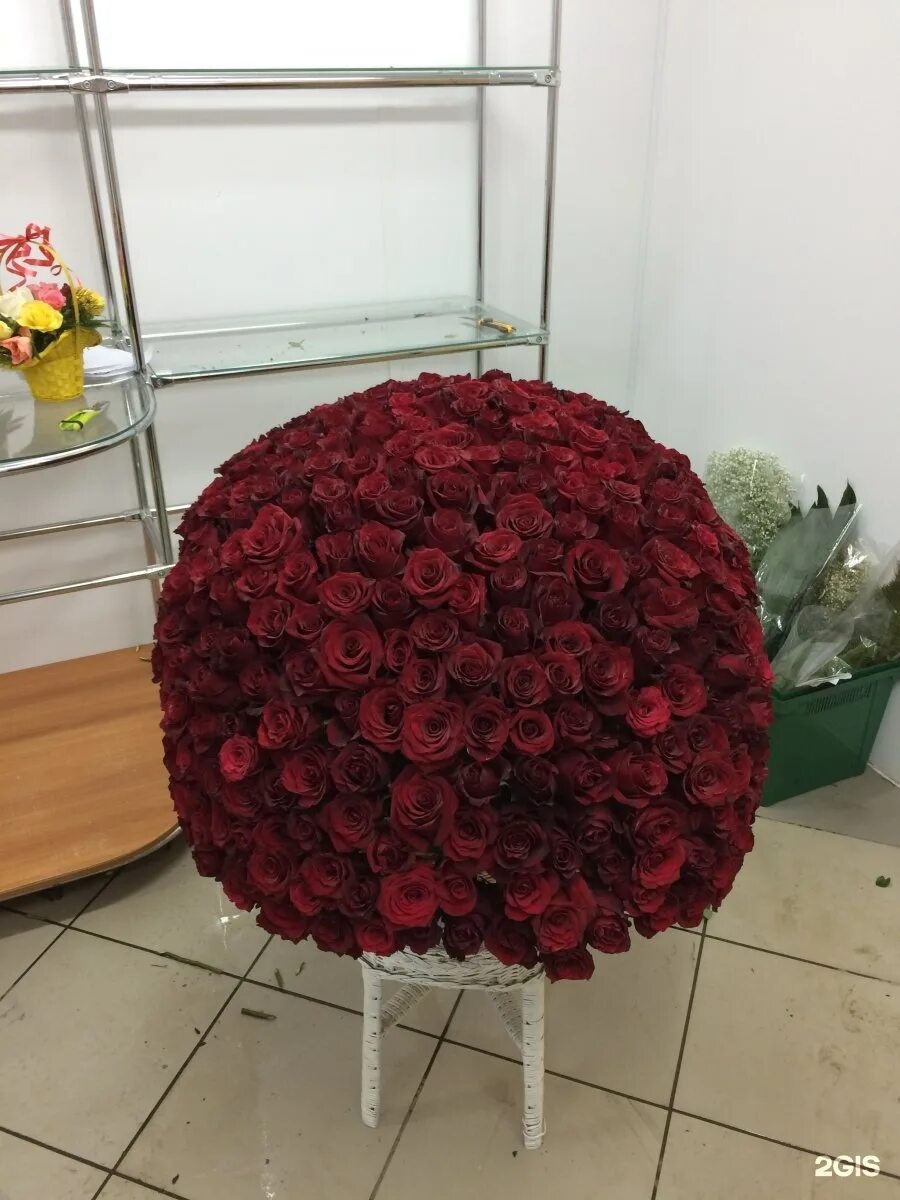 чичканова 70а тамбов. цветторг тамбов. цветторг 68. цветторг тамбов. цветторг тамбов на чичканова.