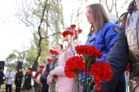 Посвящено донбассу