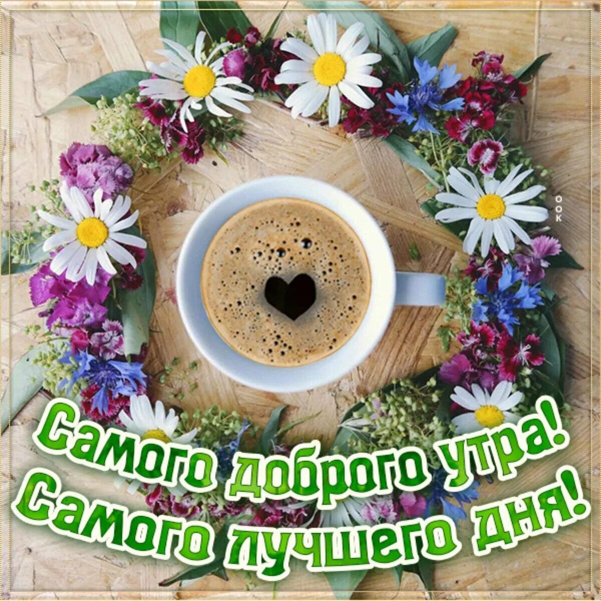 Pin on English. Beautiful flowers, Flowers, Floral wreath