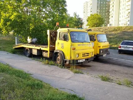 Эвакуация дубна