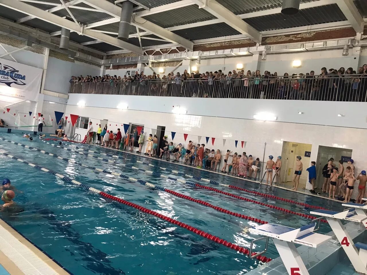 Бассейн олимп 2114. Бассейн олимп курган. Спорткомплекс олимп тольятти бассейн. Бассейн олимп кингисепп. Бассейн олимп хотьково.