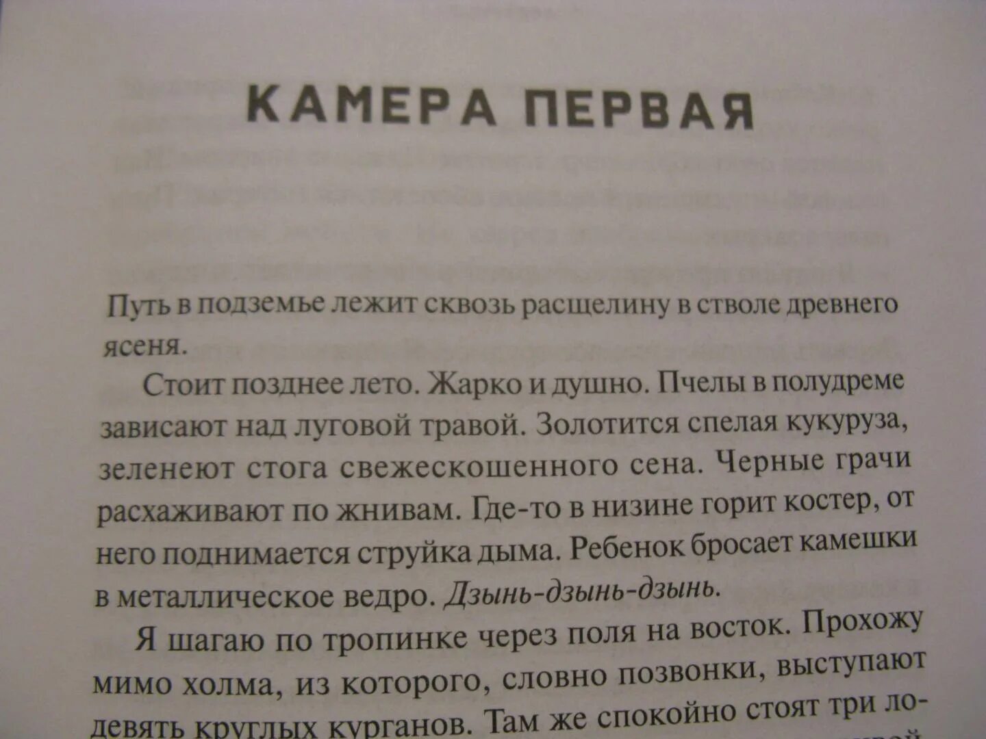 Пройти в глубь. Путешествие в глубь земли. Путешествие вглубь земли. Подземье. Путешествие в глубь земли и времени книга. Опишите путешествие в глубь земли.