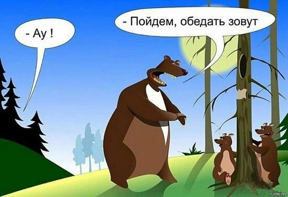 Шутки про медведя. Анекдот про медведя. Медведь карикатура. Анекдоты про медведей смешные. Что означает ау