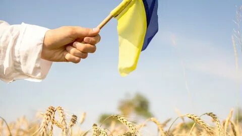 Поменять украинские