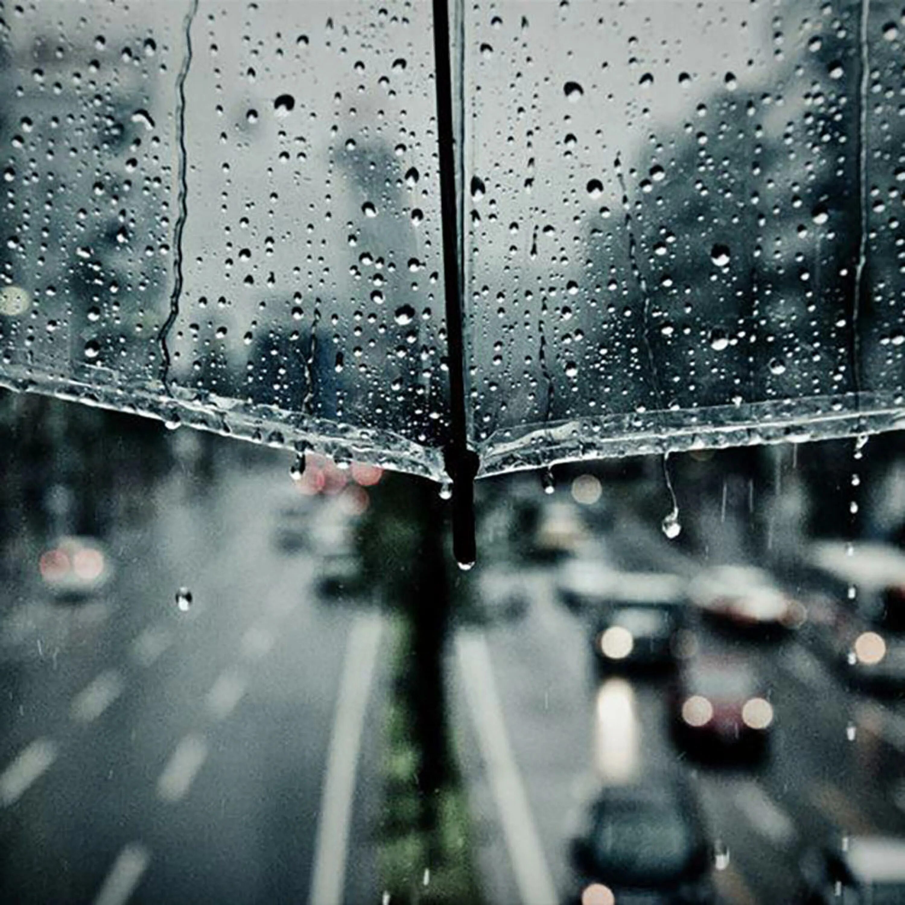 Обои на рабочий стол be yourself. Малыш с чёрным зонтиком картинки. Why is the rain. Небольшой дождь. Rain обложка.