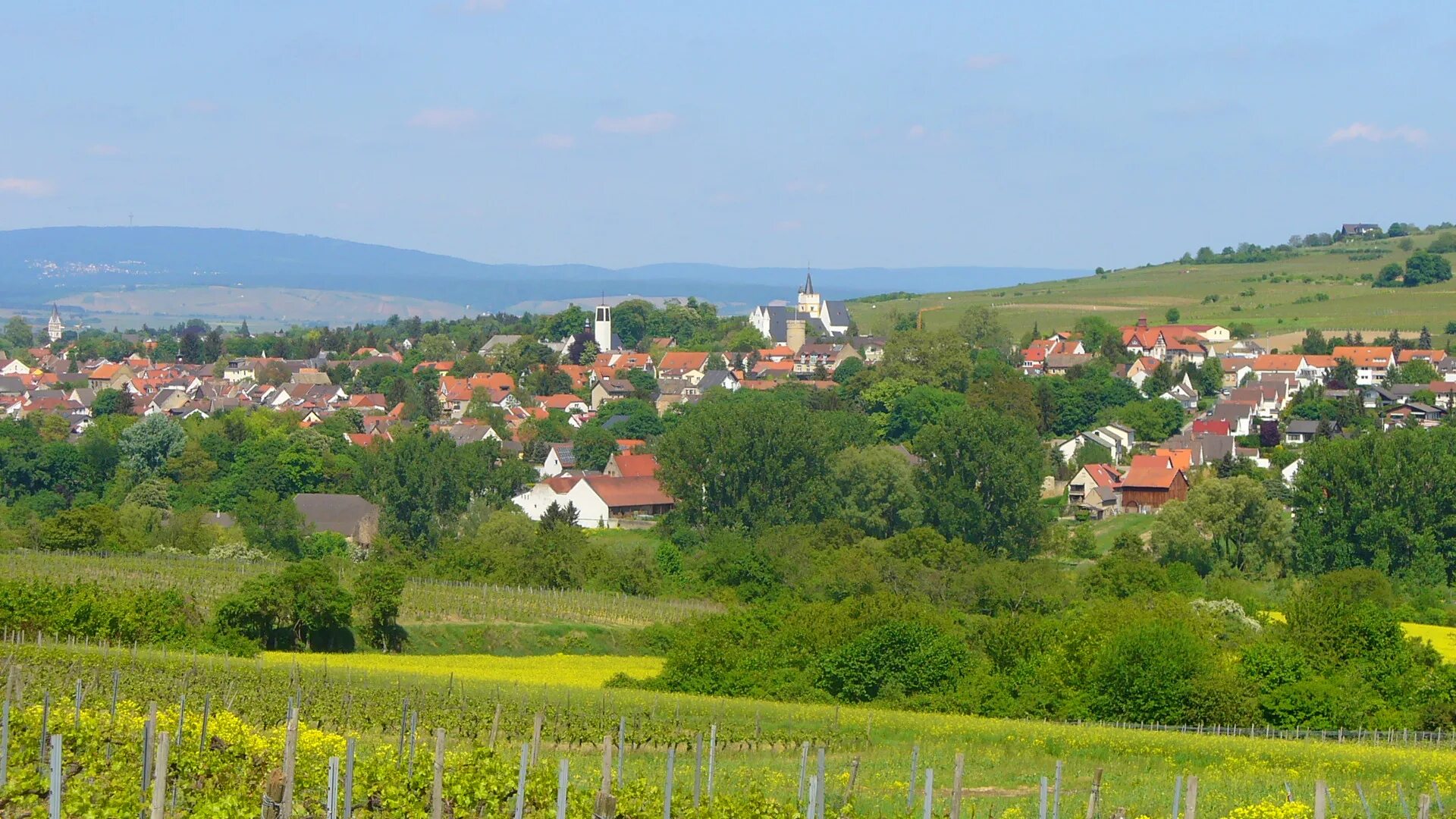 Ингельхайм на Рейне. Ingelheim Германия. Ингельхайм-ам-Райн Германия. Ингельгейм город. Летнее время в германии