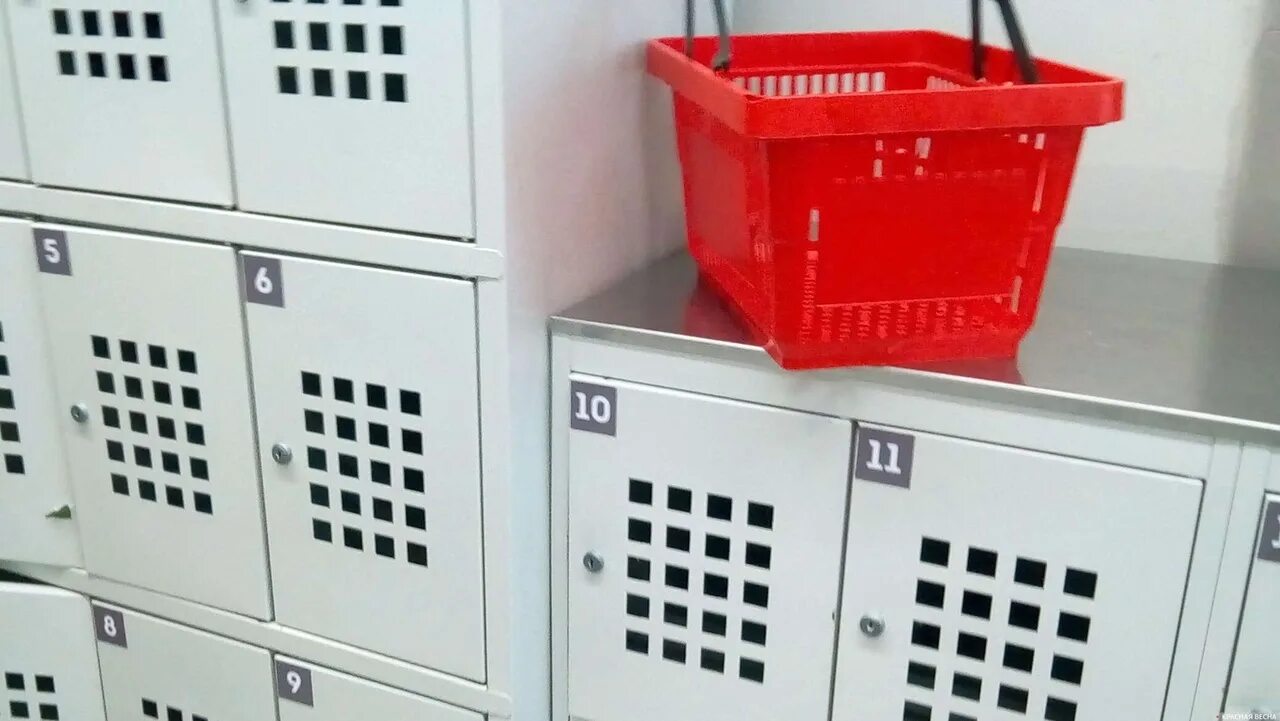 Шкаф для хранения личных вещей 6500. Камера хранения своими руками. Шкаф металлический сотел-12 12 ячеек. Ячейки для хранения вещей в магазине. Ячейки для камеры хранения.