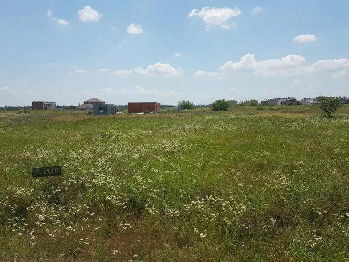 43 мировой участок краснодар. Земельный участок краснодар село глебовское. Участки в краснодаре. Земельный участок краснодар фото. Участок земли в краснодаре.