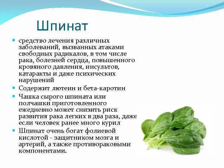 Шпинат огородный польза. Шпинат. Чем полезен шпинат. Шпинат полезность. Шпинат витамины.