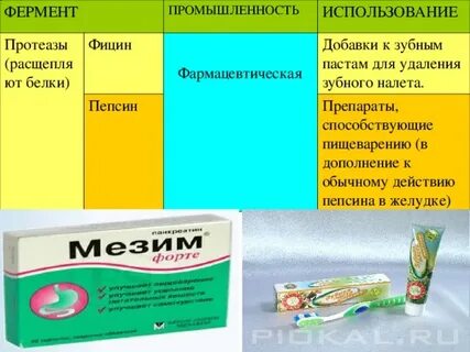 Пепсин применение