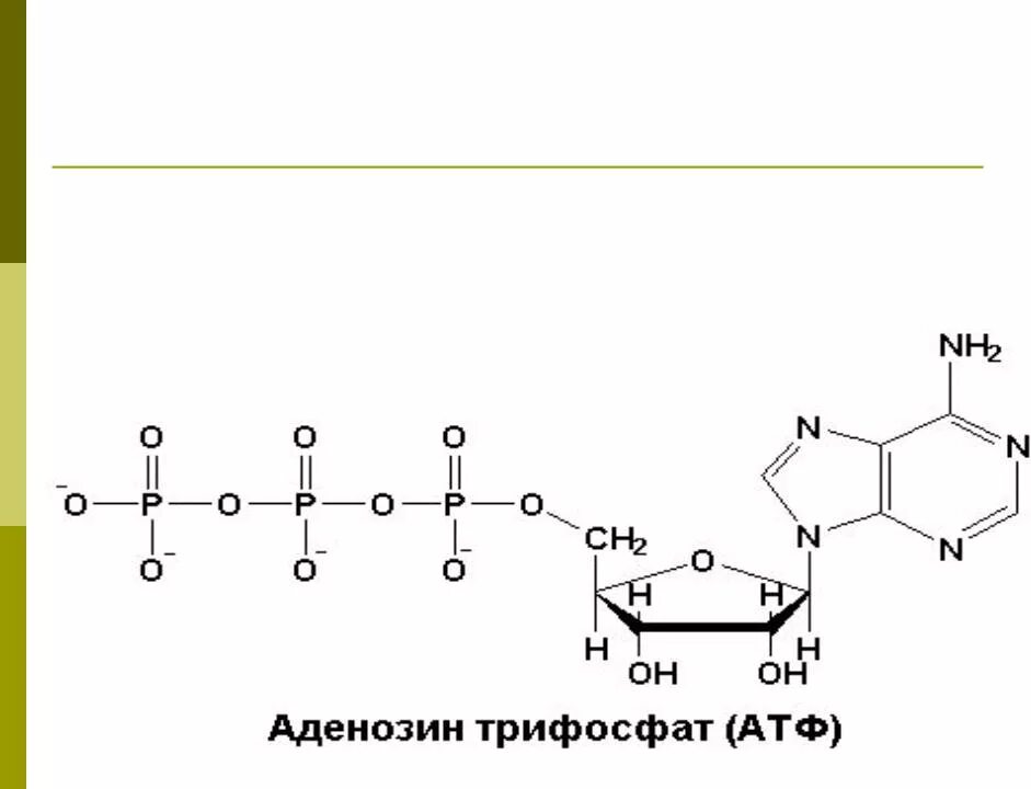 Атф ростов. Адениловая система биохимия. Адениловая система роль отдельных нуклеотидов. Макроэргические связи в АТФ. Пирофосфат биохимия.