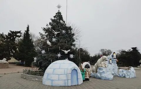 Ели евпатории
