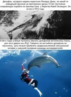 Пожалуй наиболее интересная