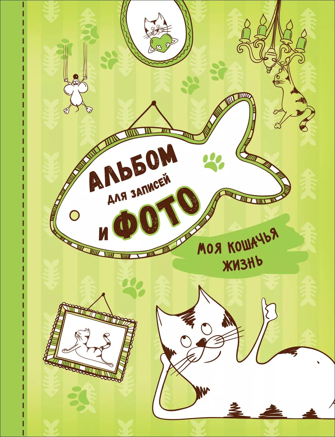 Вещи моего кота