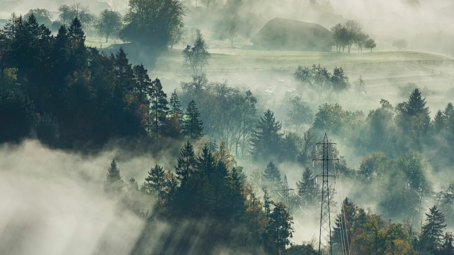 From the fog как установить