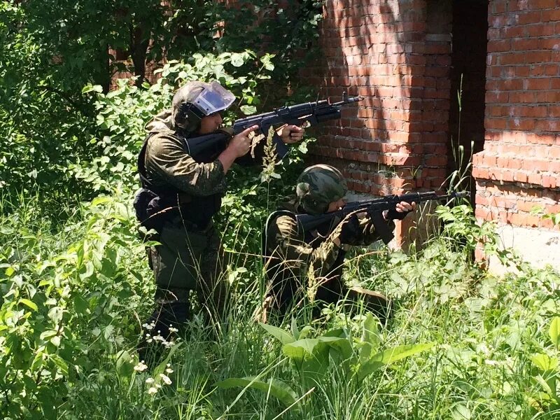 24 октября. Части спецназа Выборг. 24 Октября день подразделений специального фото. Какой сегодня праздник в России сегодня у спецназа.