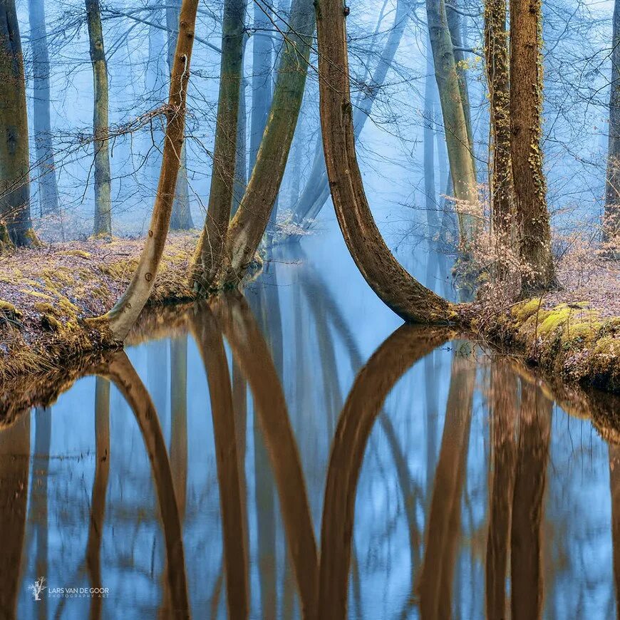 Ларс Ван де ГУР. Фотографии Ларса Ван де ГУРА. Пейзаж фотохудожники. Художественные фотографии природы. Nature работа