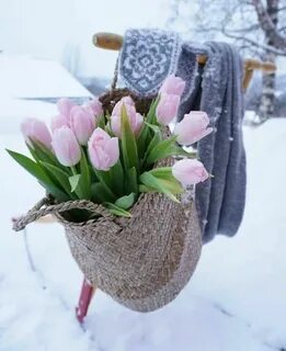 Февраль утро цветы