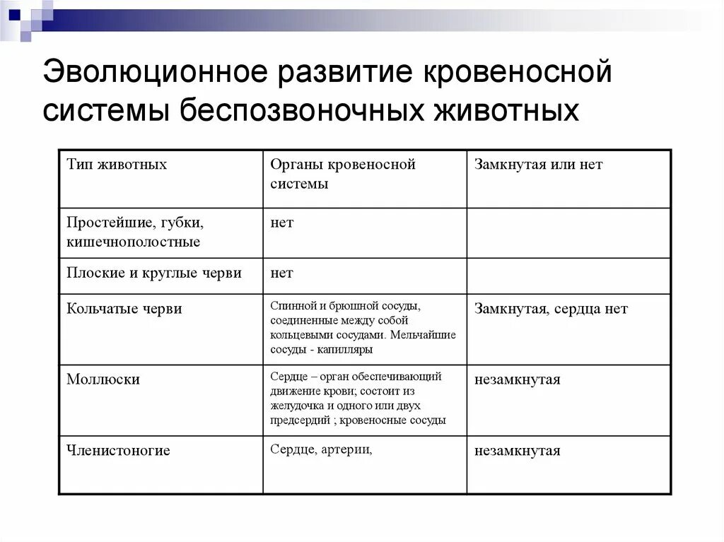 Кровеносные системы позвоночных животных таблица. Эволюция развития кровеносной системы беспозвоночных животных. Эволюция кровеносной и выделительной системы животных. Эволюция кровеносной системы таблица 7 класс биология. Эволюция кровеносной системы таблица 7.