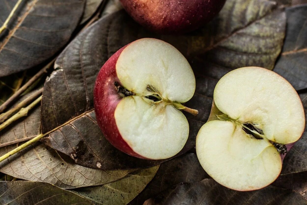 Во имя фруктов и семян геншин. Половинка яблока. Яблоко пополам. Две половинки яблока. Ядовитое яблоко.